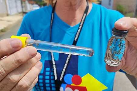 Potirendaba e Estrela D’Oeste registram mortes por dengue