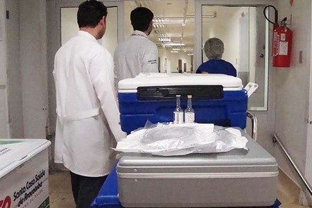 Fígado, rins e córneas de adolescente de 14 anos são doados em Araçatuba