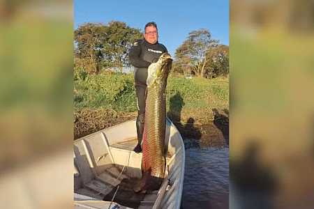 Pescadores capturam pirarucu de 1,90 m e 75 kg no interior de SP: ´Maior experiência que poderíamos ter´