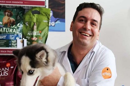 Verme do coração pode ser transmitido aos cães pelo mosquito Aedes aegypti