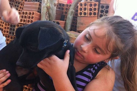 ´É meu herói´, diz menina salva por cachorro em incêndio no RS