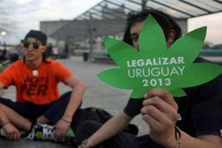 Se aprovada, maconha deve começar a ser vendida em abril no Uruguai