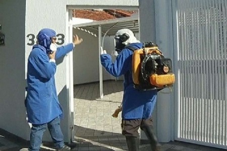 Seis cidades do noroeste paulista correm risco de epidemia de dengue