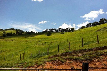 Produtor rural morre ao ser atingido por raio em propriedade de Santa Adélia